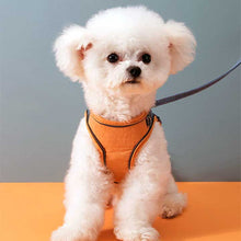 Lade das Bild in den Galerie-Viewer, Reflektierende Katzen- und Hundeweste